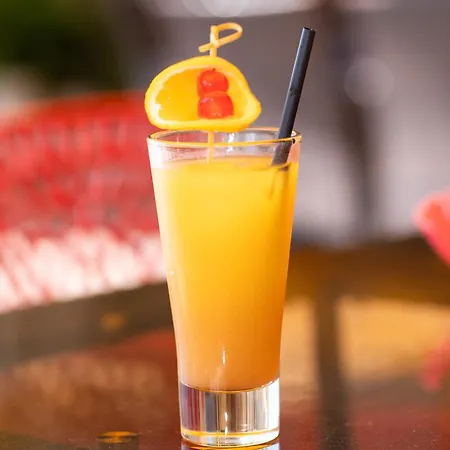 Dolphin Beach-делфин бийч 酒店 拉夫达