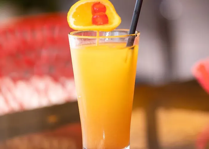 Dolphin Beach-делфин бийч 호텔 라브다